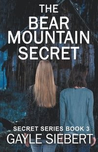 bokomslag The Bear Mountain Secret