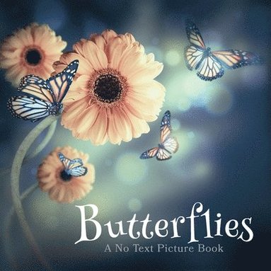 bokomslag Butterflies, A No Text Picture Book