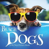 bokomslag Beach Dogs, A No Text Picture Book