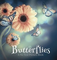 bokomslag Butterflies, A No Text Picture Book