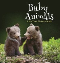 bokomslag Baby Animals, A No Text Picture Book