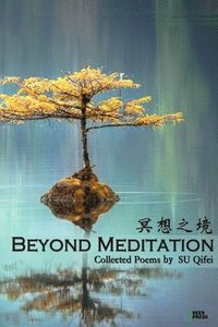 bokomslag Beyond Meditation: ????