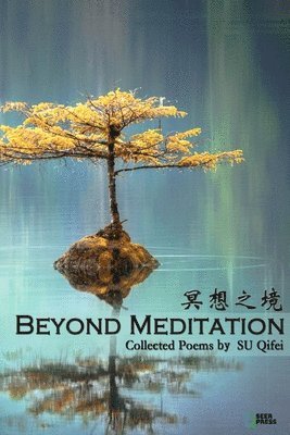 Qifei Su - Beyond Meditation: 冥想之境, Häftad