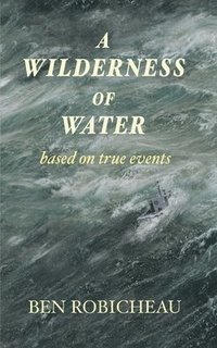 bokomslag A Wilderness of Water