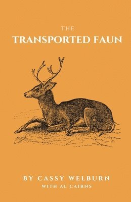 The Transported Faun 1