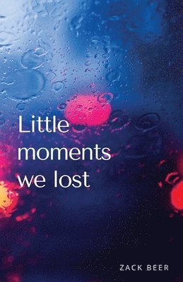 bokomslag Little Moments We Lost