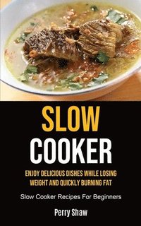 bokomslag Slow Cooker