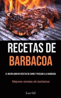bokomslag Recetas De Barbacoa