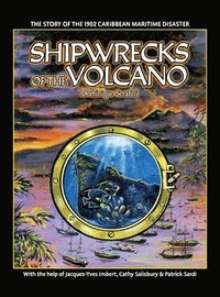 bokomslag Shipwrecks of the Volcano