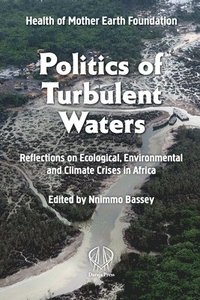bokomslag Politics of Turbulent Waters