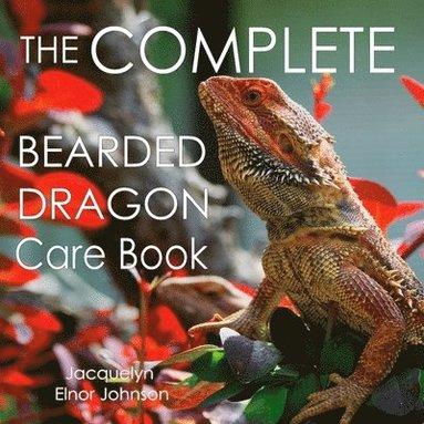 bokomslag Complete Bearded Dragon Care Book