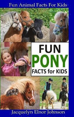 bokomslag Fun Pony Facts for Kids