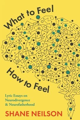 bokomslag What to Feel, How to Feel: Lyric Essays on Neurodivergence and Neurofatherhood