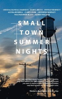 bokomslag Small Town Summer Nights