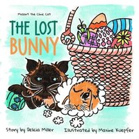 bokomslag The Lost Bunny