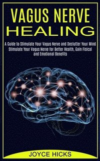 bokomslag Vagus Nerve Healing