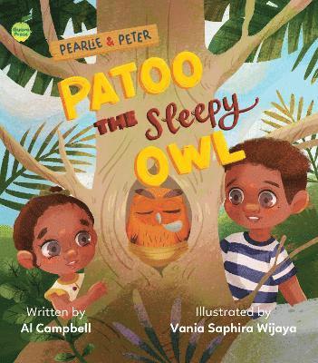 Patoo the Sleepy Owl 1