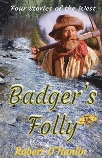 bokomslag Badger's Folly