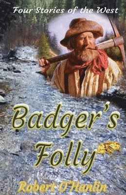 bokomslag Badger's Folly