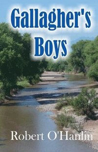 bokomslag Gallagher's Boys