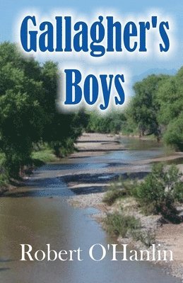 bokomslag Gallagher's Boys