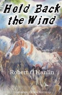 bokomslag Hold Back the Wind