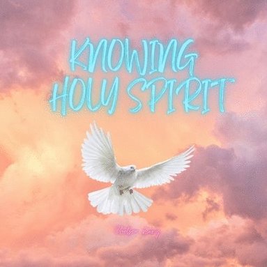 bokomslag Knowing Holy Spirit