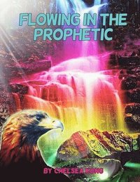 bokomslag Flowing in the Prophetic