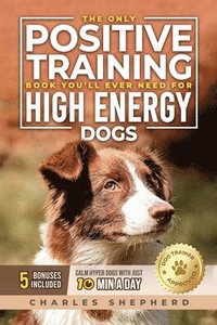 bokomslag Only Positive Training Book You'll Ever Need for High-Energy Dogs