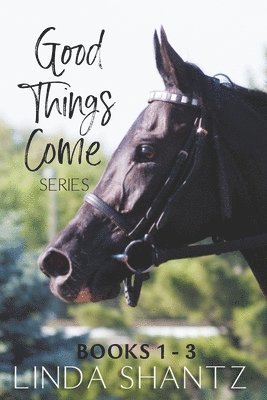 The Good Things Come Series 1