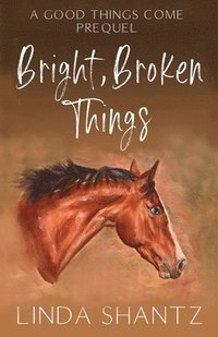 bokomslag Bright, Broken Things