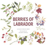 bokomslag Berries of Labrador