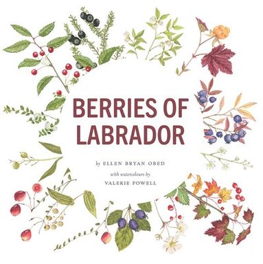 bokomslag Berries of Labrador