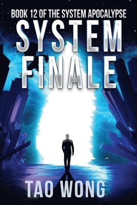 bokomslag System Finale