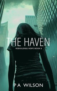 bokomslag The Haven: A Dystopian Novel of Survival