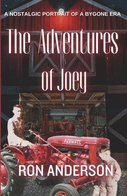 Adventures of Joey