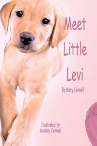 bokomslag Meet Little Levi