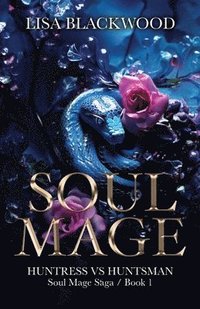 bokomslag Soul Mage