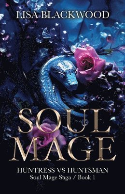 Soul Mage 1