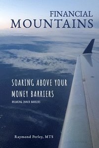 bokomslag Financial Mountains
