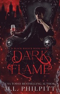 bokomslag Dark Flame