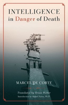 Intelligence in Danger of Death (English edition) 1