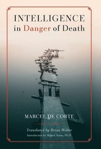 bokomslag Intelligence in Danger of Death (English edition)