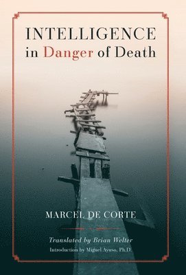 Intelligence in Danger of Death (English edition) 1