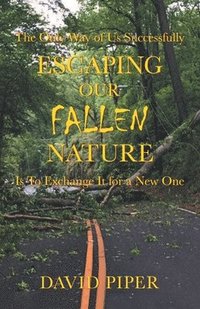 bokomslag Escaping Our Fallen Nature