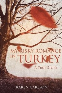 bokomslag My Risky Romance in Turkey