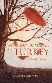 bokomslag My Risky Romance in Turkey
