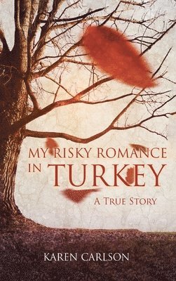 bokomslag My Risky Romance in Turkey