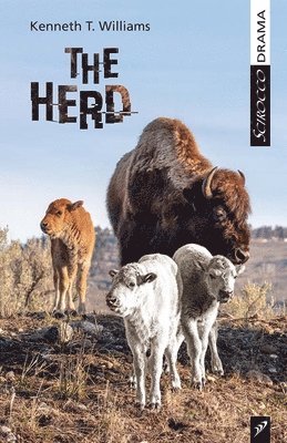 The Herd 1