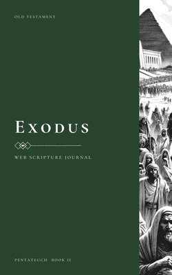 Cántaro Institute - WEB Scripture Journal, Häftad